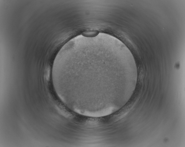 X0000116860076201002021115