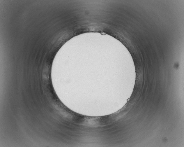 X0000116860078201002021115