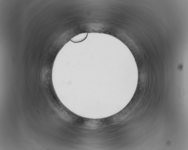 X0000116860079201002021115