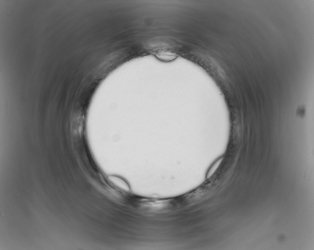 X0000116860081201002021115