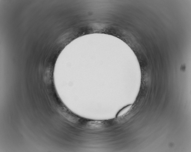 X0000116860082201002021115