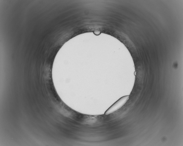 X0000116860083201002021115