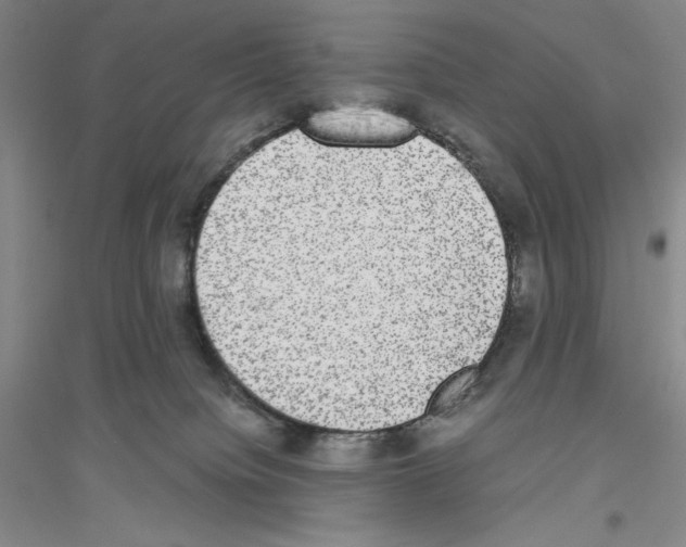 X0000116860084201002021115