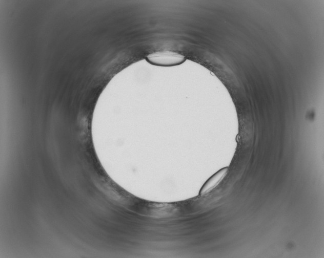 X0000116860087201002021115