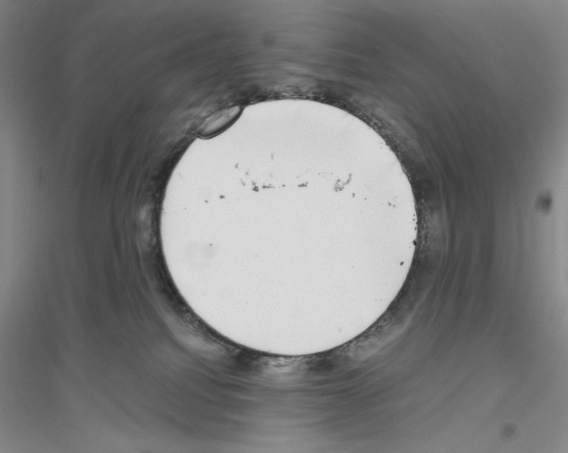 X0000116860088201002021115