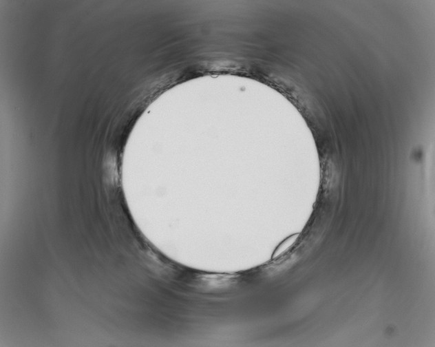 X0000116860089201002021115