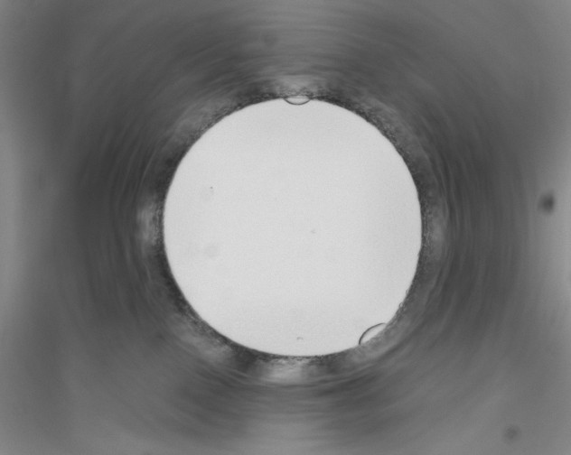 X0000116860090201002021115