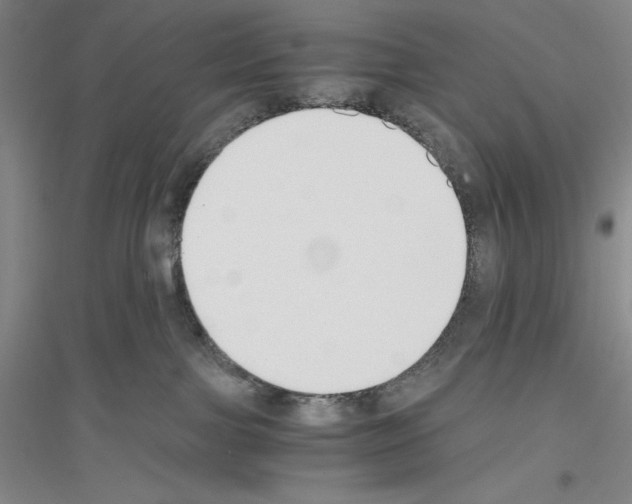 X0000116860091201002021115