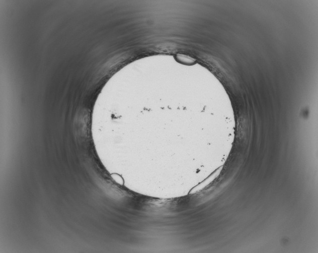 X0000116860092201002021115