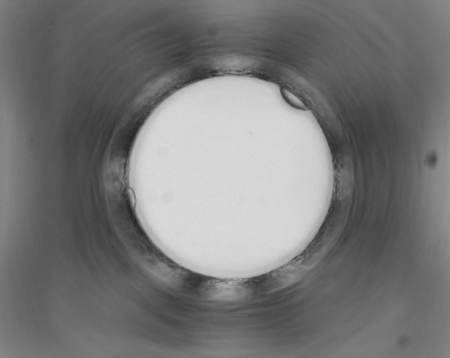 X0000116860093201002021115