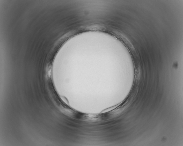 X0000116860095201002021115