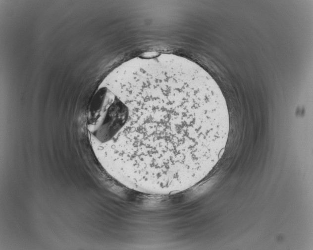 X0000116860096201002021115