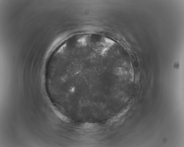 X0000116860101201002021114