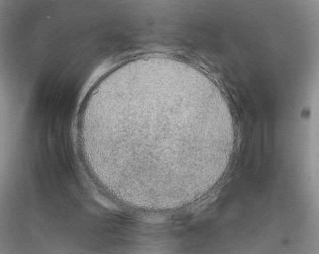 X0000116860102201002021114