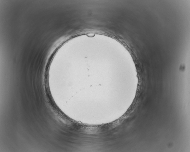 X0000116860104201002021114