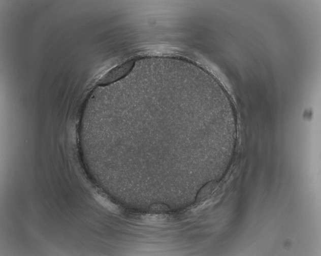 X0000116860105201002021114