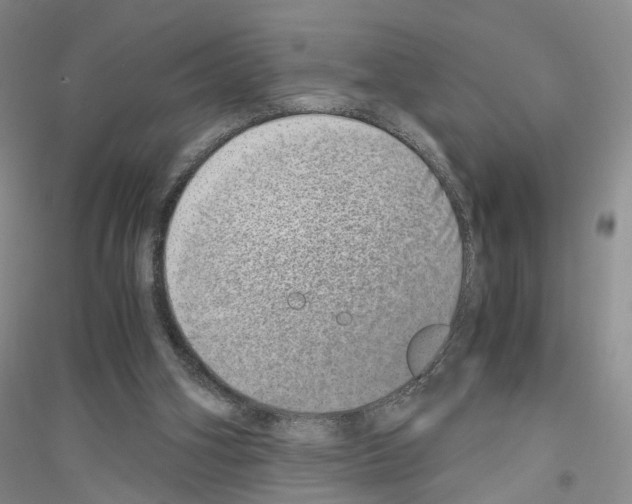 X0000116860106201002021114