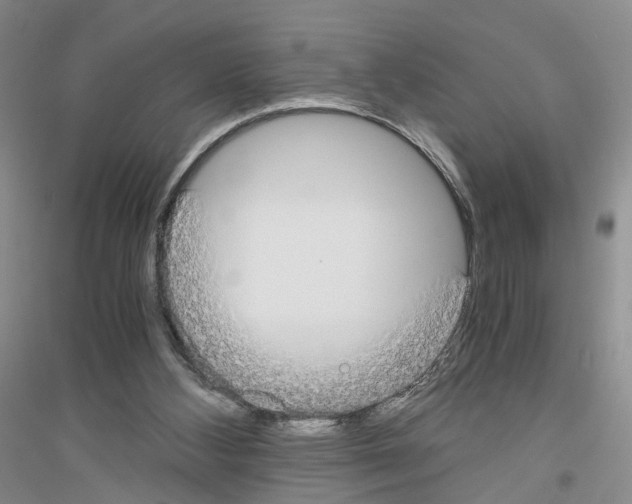 X0000116860108201002021114