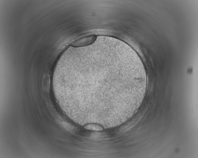 X0000116860109201002021114