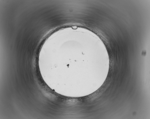 X0000116860112201002021114