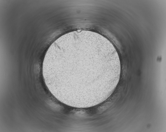 X0000116860113201002021114