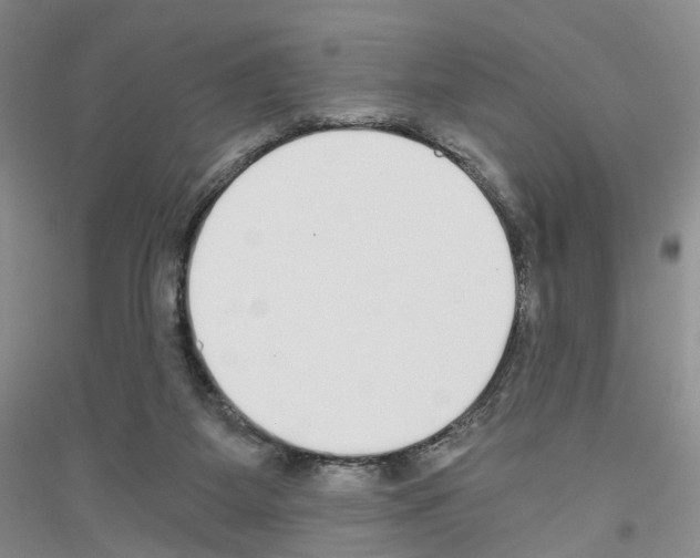 X0000116860115201002021114