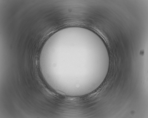 X0000116860117201002021114