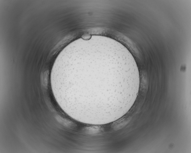 X0000116860118201002021114