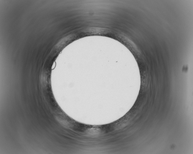 X0000116860119201002021114