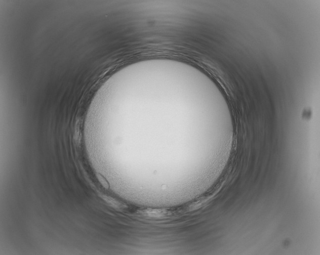 X0000116860121201002021114