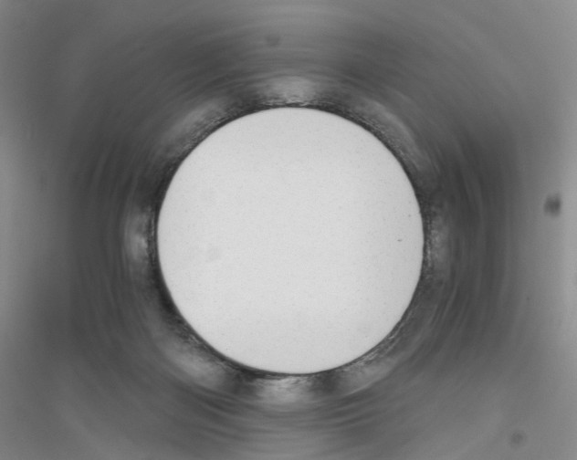 X0000116860122201002021114