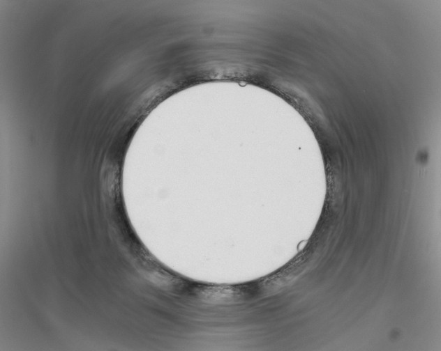 X0000116860123201002021114