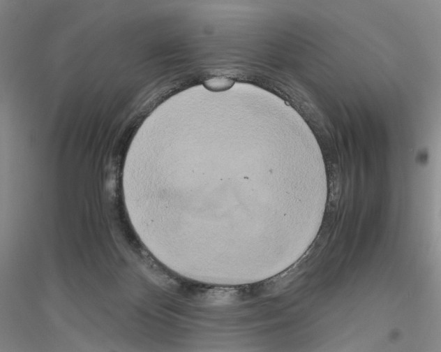 X0000116860124201002021114