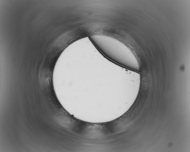 X0000116860125201002021114