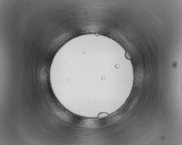 X0000116860126201002021114