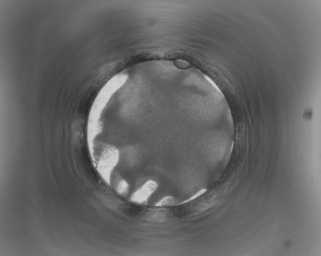 X0000116860127201002021114