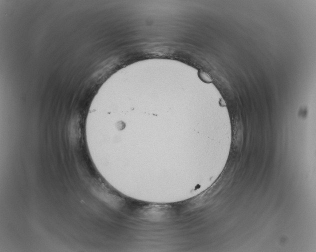 X0000116860128201002021114