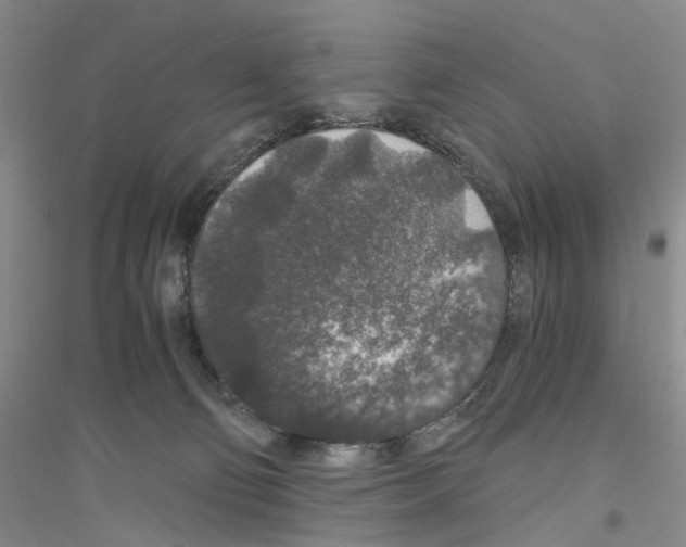 X0000116860130201002021114