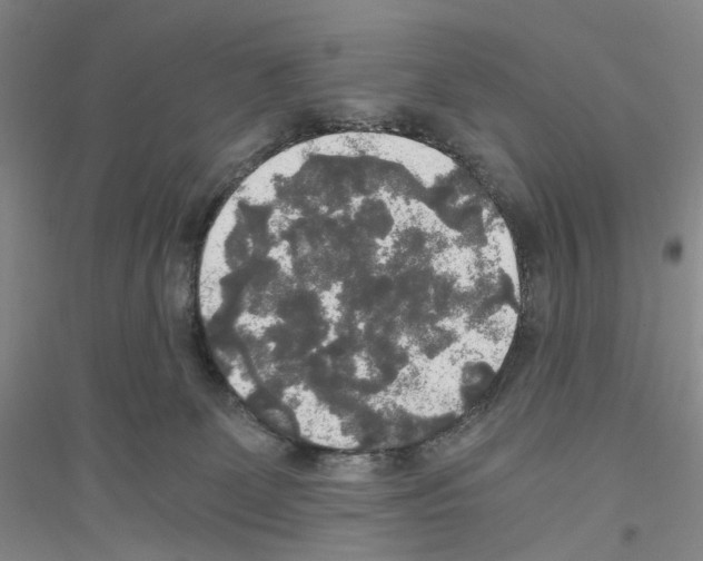 X0000116860131201002021114