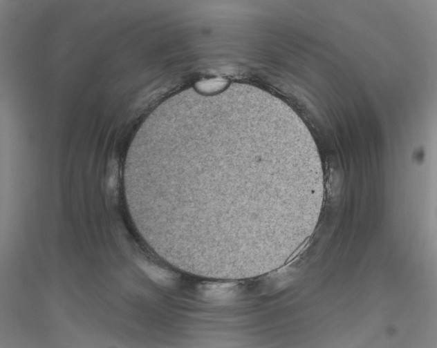 X0000116860132201002021114