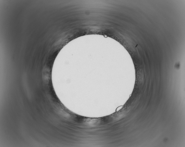 X0000116860135201002021114