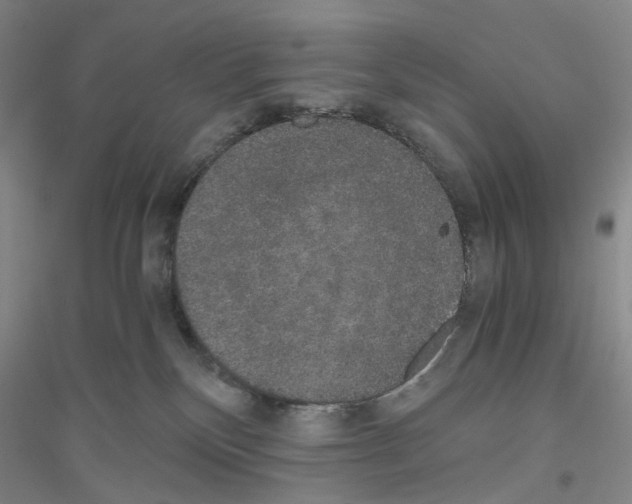 X0000116860136201002021114