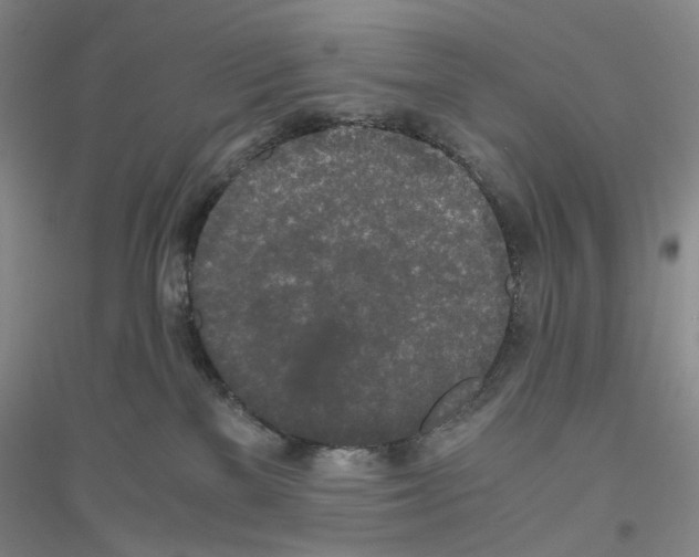 X0000116860137201002021114