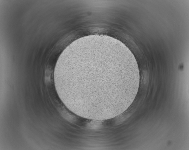 X0000116860138201002021114