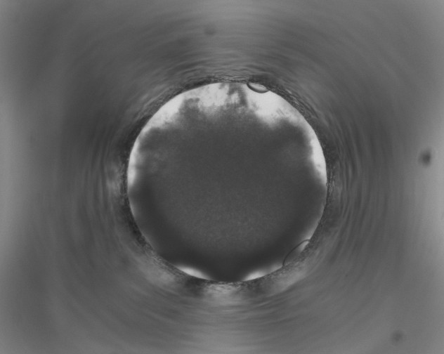 X0000116860139201002021114