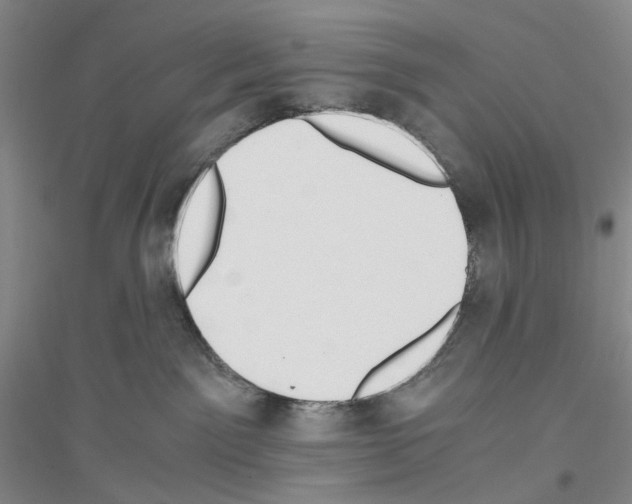 X0000116860141201002021114