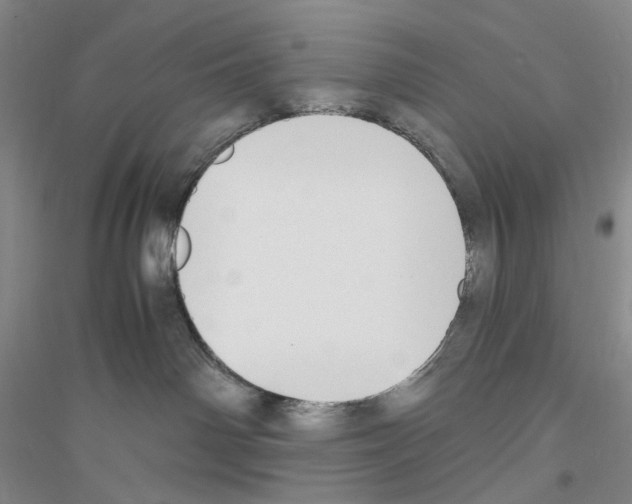 X0000116860142201002021114