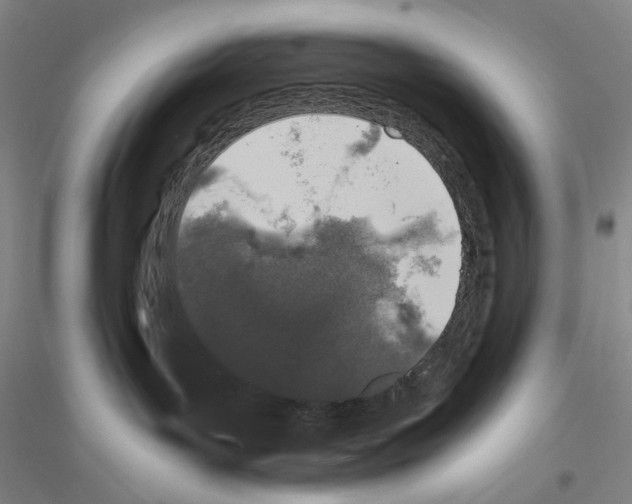 X0000116860143201002021114