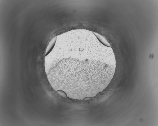 X0000116860144201002021114