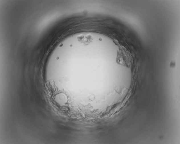 X0000116860146201002021113